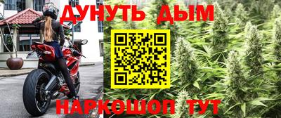 мяу мяу мука Лесосибирск