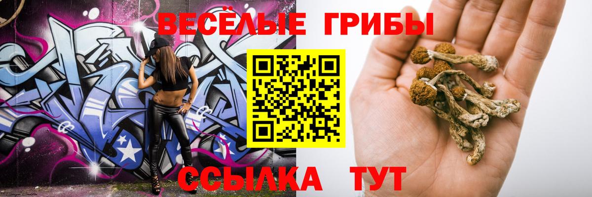 Галлюциногенные грибы Cubensis  Псилоцибиновые грибы Psilocybe  Вход с VPN  Чита 