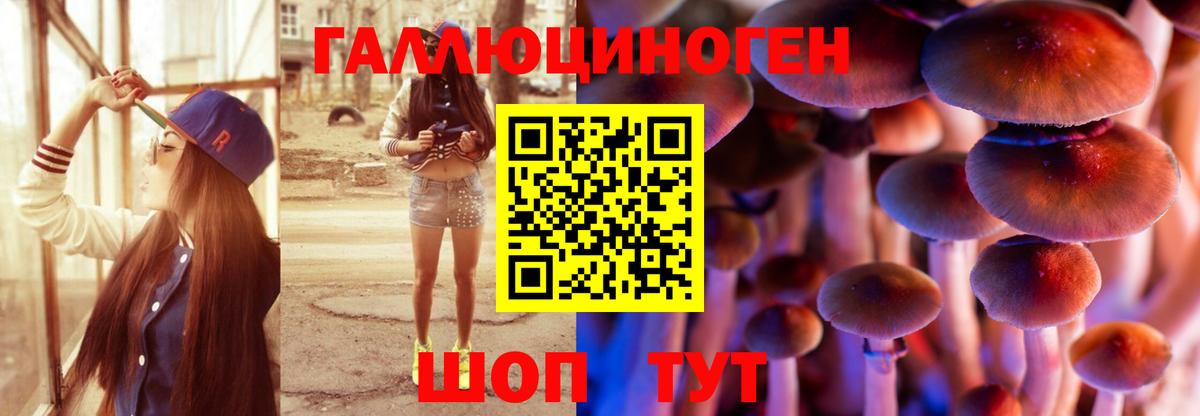 Псилоцибиновые грибы Psilocybine cubensis Чита